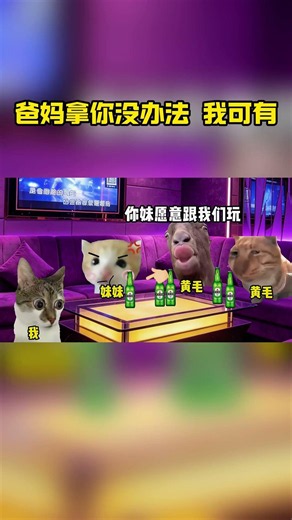 妹妹：打了他们就不能打我了哦#猫meme #搞笑