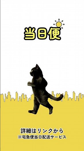 "Oh, I want to deliver it today!" #KuronekoYamato #I want to connect with cat lovers #Driving skills