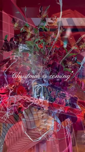 神戸元町フレンチダイニングレストラン イグレックベガ on Instagram: "🦌•┈ ✨ ┈ 🌟┈🎄┈🌟┈✨┈•🦌💡ꕀ .*🎅🏻 ❤︎ 🎄 ⁡ Christmas is coming⭐ 店内は煌びやかなクリスマス装飾となっております🎀✨️🎄 大切な方と過ごすひとときが あたたかく記憶に残る時間となりますように🥂 聖なる夜、 心に残る美食とともに― 2025クリスマスディナーご予約受付中✨ ～Cote d Or～ 窓側席確約コース ムニュ・コートドール ●エントランスディッシュ かぶらのポタージュスープ ズワイガニと鮑と雲丹 ● 冷前菜 オマール海老とキャビア お野菜のテリーヌ仕立て ● お魚料理 平目のポアレ エシャロットフォンデュ 赤ワインソース ● お肉料理 淡路椚座牛フィレ肉のロースト フォアグラ添え トリュフソース ●デザート クロンヌドノエルと木苺のソルベ ● パン ●コーヒーまたは紅茶 ☆その他にもコースもございます。 お気軽にお問い合わせくださいませ🤵‍♂️ ご予約はお早めに ホームページからがお得です！ 皆様のご来店を心からお待ちしており