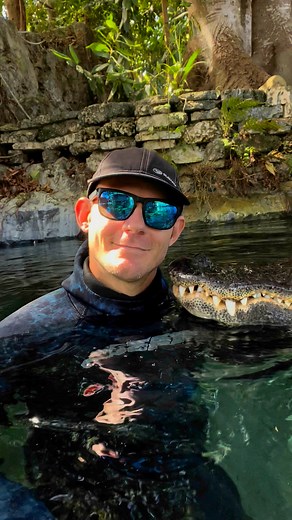 147K views · 3.8K reactions | Gator safety with Casper! Don’t feed...