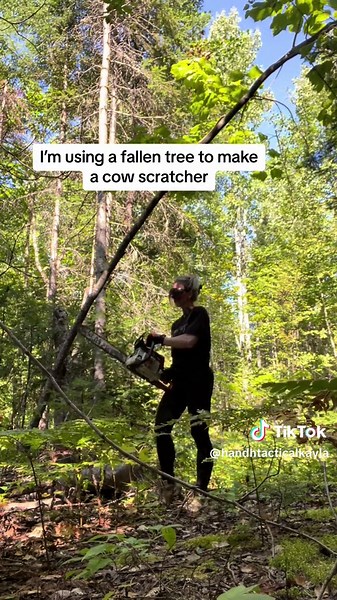 I made a cow scratcher! Pretty excited to see if they’ll use it… and if they’ll knock it over 😅 #diy #maine #highlandcow #homestead #highlands #dailylife