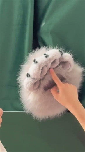 Australian Avocados in Hong Kong - Food Truck Activation - 2026