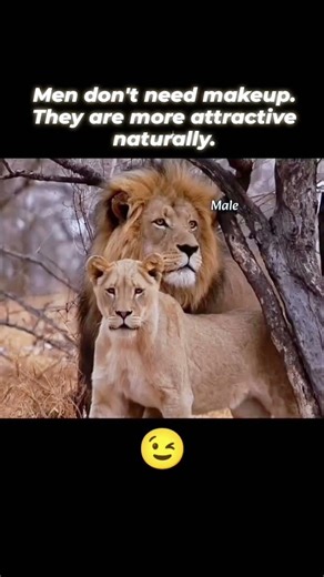 MEN DON'T NEED MAKEUP💀