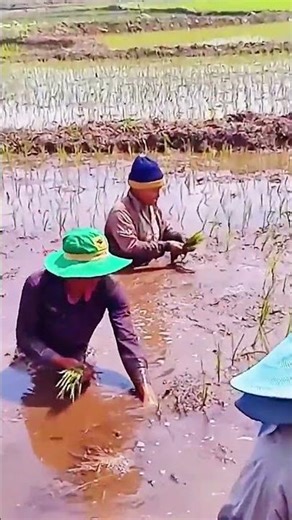 The Hardest Job: Cultivating Land - Farmers' Struggles Explained