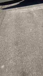 4K views · 107 reactions | Great to see National Stockyards thriving. Another Big day of cattle trading in Historic Stockyards City! | Cattlemen's Steakhouse in Historic Stockyard City | Facebook