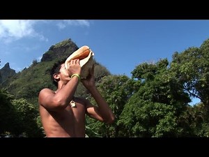 SEEDS OF HOPE TRAILER.m4v