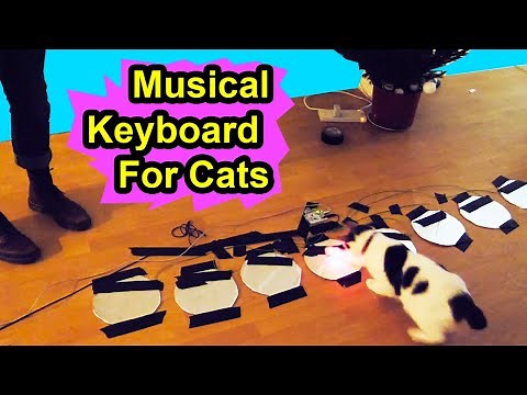 Musical Keyboard For Cats - Make Your Cat A Musical Virtuoso - YOUTUBE SECRET SANTA