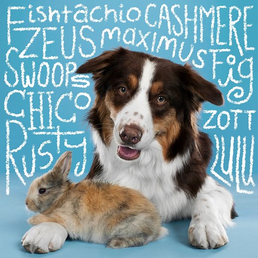 151 Best Pet Names for Dogs, Cats and All Your Sweet Fur Babies