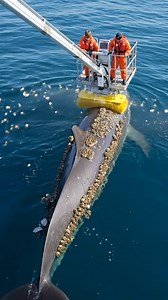 2M views · 10K reactions | Wild Life Lessons on Reels | Facebook