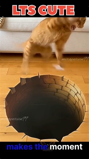 Funny Prank: Cat Believes There’s a Deep Well!😹#Funny Shorts#Viral Video #Cute Animals#cat moment