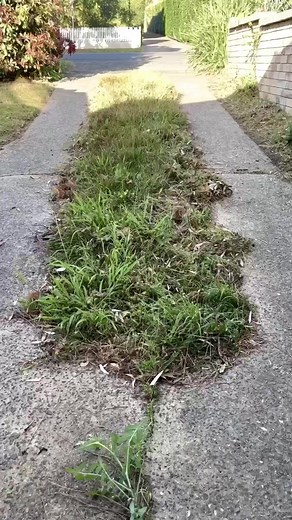 636K views · 7.1K reactions | Mash up time! #reels #reelsviral #satisfying #asmr #nature #tbt #gardening #artsandcrafts #streetwear #mygarden #italy #engineering #grasscutting #diy | Nathans Lawns and Gardens | Facebook