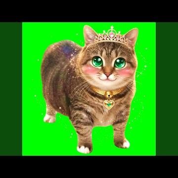 KAWAII (OIIA OIIA Spinning CAT)