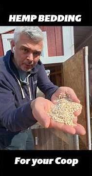 Why Hemp Bedding Is the BEST Chicken Coop Bedding