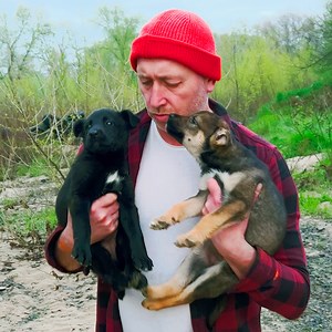 803K views · 9.3K reactions | L'acte de bonté d'un homme crée un foyer spécial pour d'adorables chiots. | Fabiosa France | Facebook