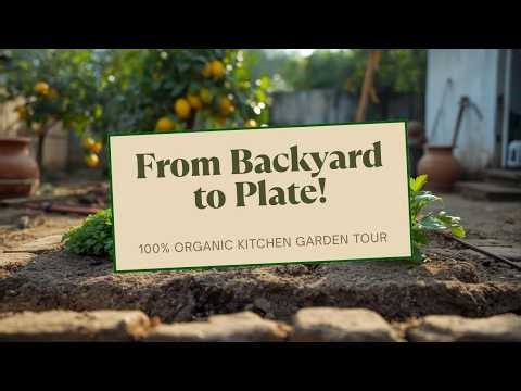 From Backyard to Plate! 🌿🍋 | 100% Organic Kitchen Garden Tour | Grow Your Own Food at Home