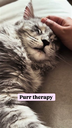 Purr Therapy by Dr. Twiggles