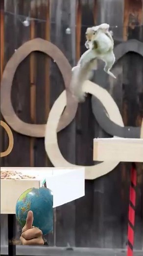 Backyard Squirrelympics 3.0 | Mark Rober #squirrel #animals #markrober