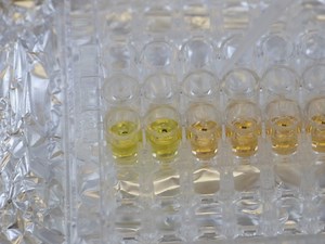 Using Synthetic Biology to Engineer Living Cells That Interface with Programmable Materials