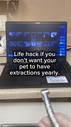 🦷 Let’s Talk Pet Dental Care! 🪥 Did you know there are lots of VOHC-approved options for at-home oral care? 👉 The VOHC (Veterinary Oral Health Council) reviews dental products like treats, rinses, and toothpastes to make sure they’re effective at reducing plaque and tartar buildup. Look for their seal when choosing products for your pet! But even with great at-home care, some pets — especially certain breeds — are more prone to dental disease and may still need professional cleanings. 🐶🐱 Re