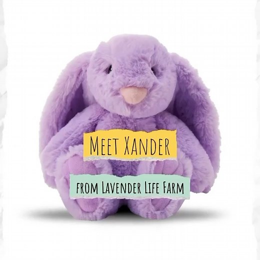 63 reactions · 13 shares |  Introducing Xander Bunny from Lavender...