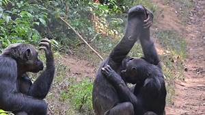 132K views · 2K reactions | Have you heard about the "grooming...