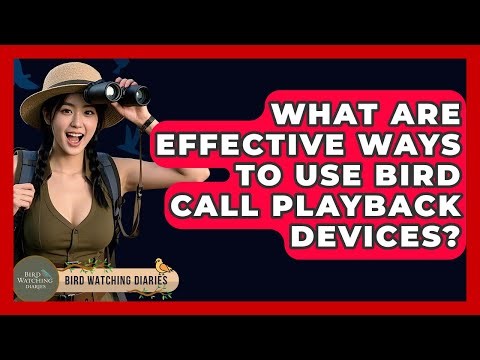 What Are Effective Ways To Use Bird Call Playback Devices? - Bird Watching Diaries