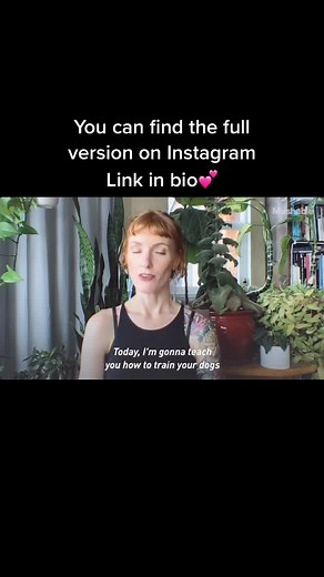 Getting started #tutorial #whataboutbunny #talkingdog #tiktokdogs #dogperson #fyp