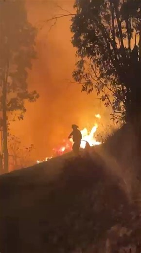 🔥ACTUALIZACIÓN CONTROLADO INCENDIO EN EL CERRO DE LA BUFA Informamos a la ciudadanía que nuestras brigadas ya se encuentran trabajando activamente en un incendio forestal a espaldas del Cerro de la Bufa. Elementos de Protección Civil Estatal realizan maniobras de combate y sofocación para controlar el fuego y evitar su propagación. Es posible que se perciba humo en las colonias aledañas y zona centro; pedimos mantener la calma y permitir el paso a las unidades de emergencia. | PC Estatal Zacate