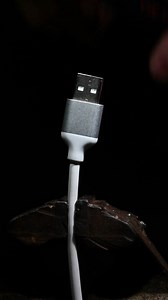 Macro View of a USB Like You’ve Never Seen Before
