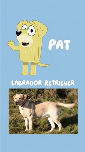 Bluey Character in Real Life Part 1