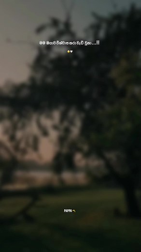 Hmmm 🙂 💔#pappa_qutoes #fyp #viraltiktok #fypシ゚viral #2millionviews #2millionviews #100kviews #trendingvideo #fypage #🙂💔🥀 #