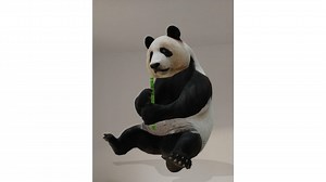 Which 3D animals are on Google? Full list and how to find them, from tigers and lions to sharks and pandas