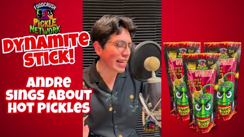 WORLDS HOTTEST PICKLE-Food Crush Dynamite Stick-Spicy Pickles In A Pouch! (Pack of 3) Hot & Juicy and actually tastes great! Infused with hot sauce with an earthy beet flavor, perfect on burgers.