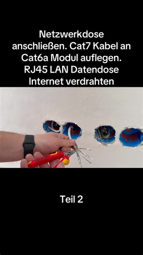 Netzwerkdose anschließen. Cat7 Kabel an Cat6a Modul auflegen. RJ45 LAN Datendose Internet verdrahten #foryou #baustelle #elektriker #dieelektromeister #diy