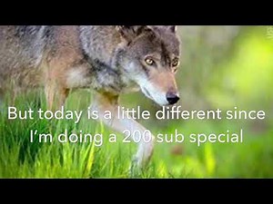 Animal Transformation Spell -200 sub special!