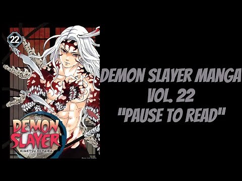 DEMON SLAYER MANGA VOL 22
