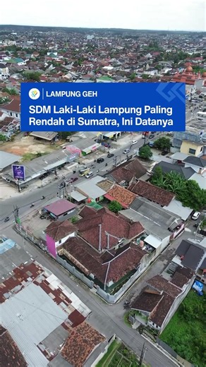 Berdasarkan data BPS tahun 2025, SDM laki-laki Lampung menjadi yang terendah di Pulau Sumatra.
