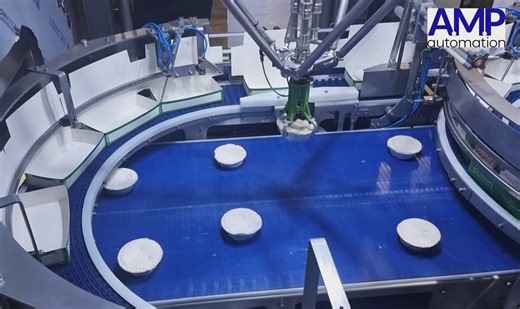 Robotic loading of Pies into cartons