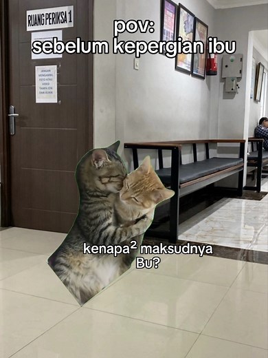 Meme Kucing Sedih: Momen Mengharukan Kucing
