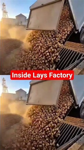 Inside The World Largest Lays Factory : Full tour processing