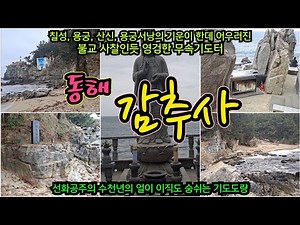 영험한 용궁 기도도량 동해 감추사~ 칠성, 용궁,산신,서낭의 기운이 한데 어우러져 신을 풀고 군웅 용궁고를 풀기 좋은 기도터! #기도터 #감추사 #용궁기도터