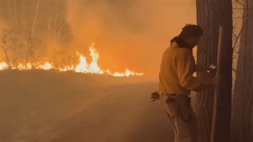 Firefighters travel from across PA to battle 1,000-acre wildfire at Michaux State Forest
