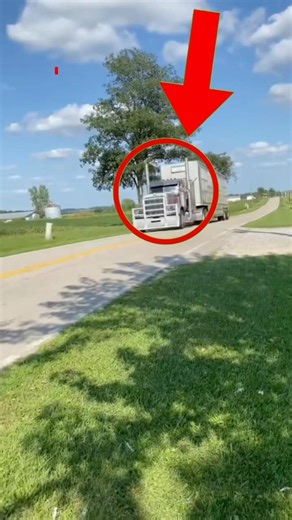 Why Bull Haulers NEVER Stop!🤯🤯😲