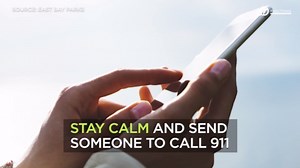 VIDEO: What to do if a rattlesnake bites you