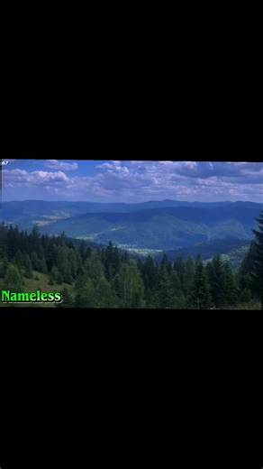 Creative Nature Edits: A Showcase of Stunning Clips