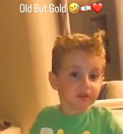 Official Lebanon 🇱🇧 on Instagram: "I didn’t say sharmoot 🤣🤣. Follow us for daily laughs @official_lebanon #LebaneseHumor #LebaneseComedy #ArabHumor #Relatable #FunnyReels #FamilyHumor #MiddleEasternHumor #lebanese #lebanon #OldButGold #lebaneseinaustralia"