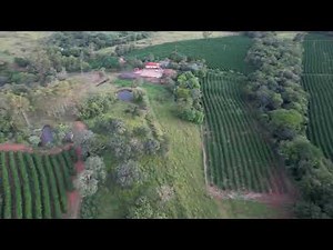 Excelente fazenda café região de Franca SP