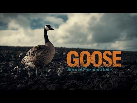 Nene Goose: The Volcanic Survivor That Learned to Live Where the Earth Is Still Alive