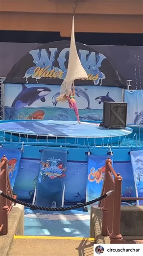 Amazing aerial net play from @circuscharchar! ⭐️ #aerialartsassoc | Aerial Arts Association