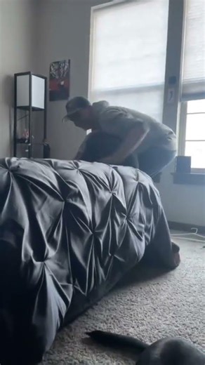 Fun fact...we broke my box spring fyp foryou wrestling #Shorts #cranberrygoose1134